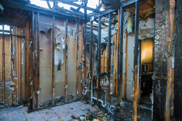 Professional Odor Removal technician working in Jonesboro, IN